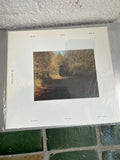 Plancton School Road Osamu Yokonami